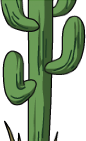 Cactus Clipart Tall - San Pedro Cactus - Png Download (640x480), Png Download