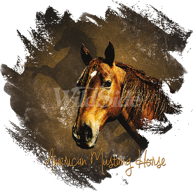 American Mustang Horse - Fashionistots Clipart (675x675), Png Download