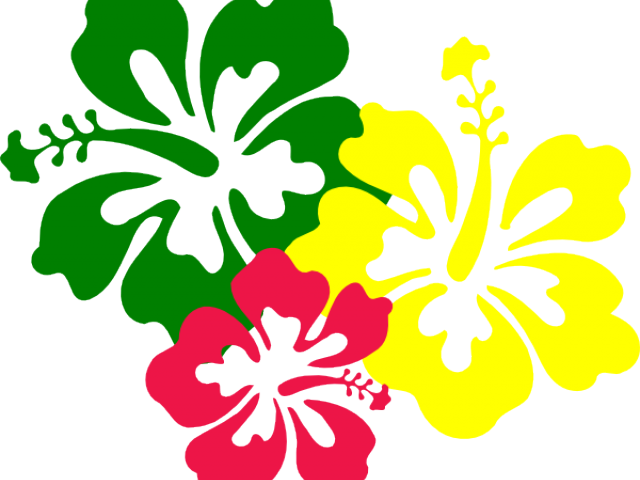 Hibiscus Flowers Clip Art - Png Download (640x480), Png Download