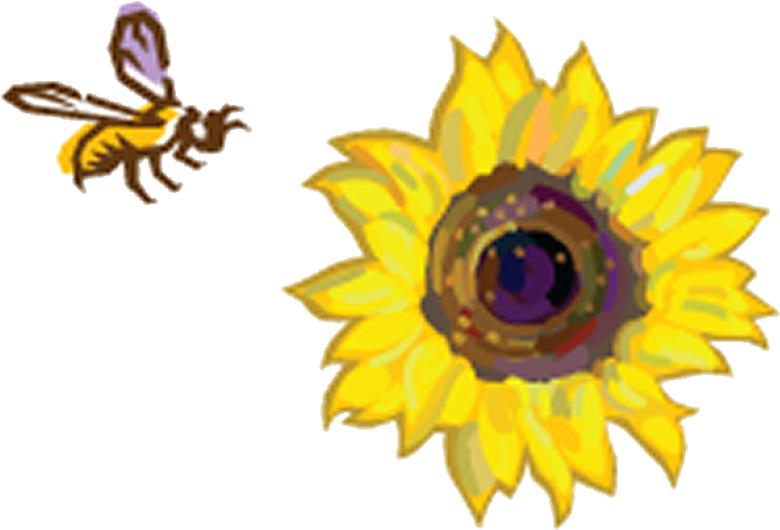 Sunflowers Clipart Bee - Bee And Sunflower Png Transparent Png (833x548), Png Download