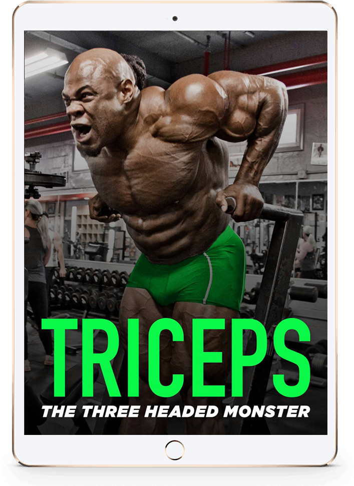 714 X 1000 2 Clipart (714x1000), Png Download