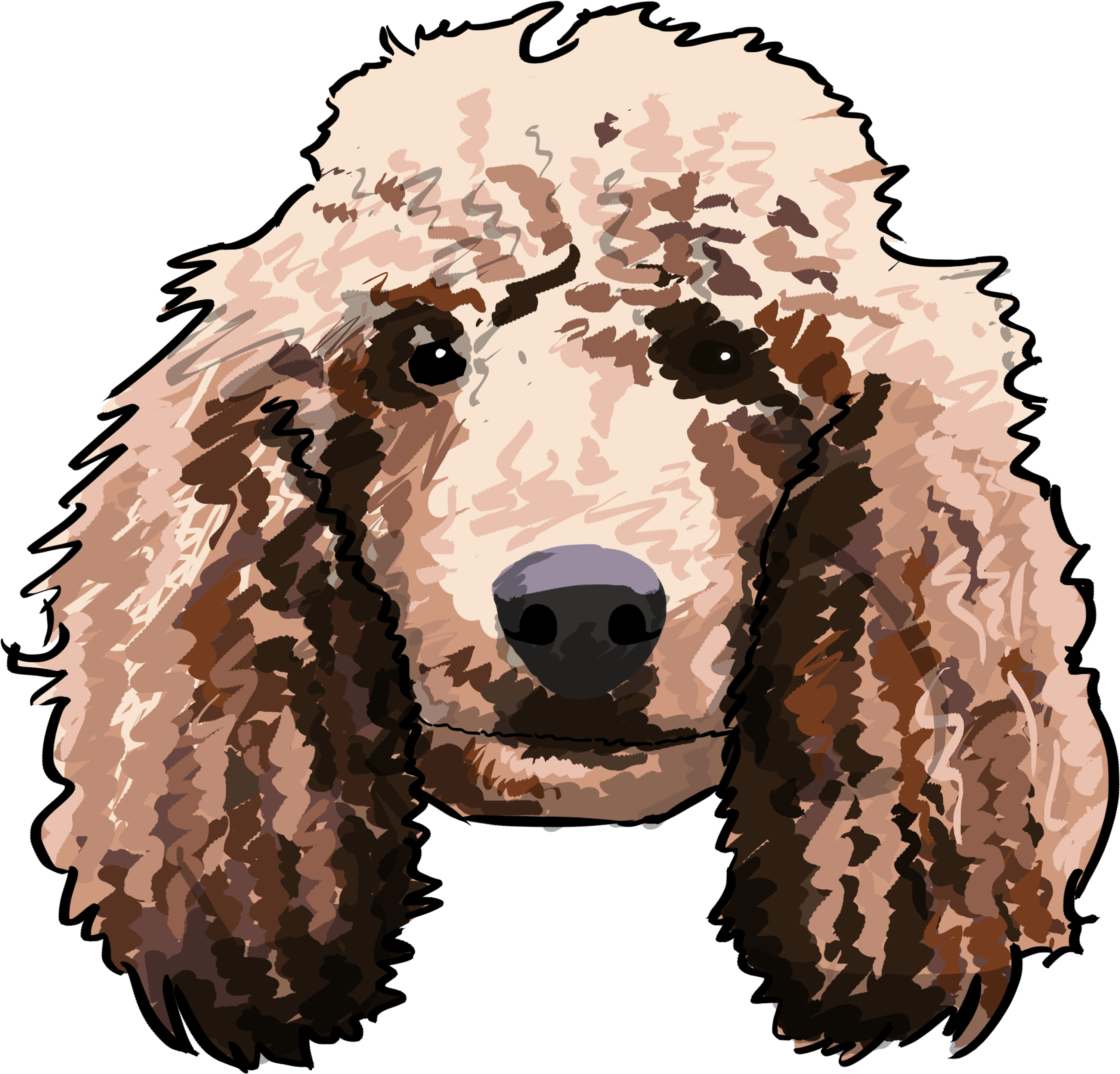Standard Poodle Clipart (3000x3000), Png Download