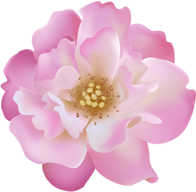 Free Png Download Pink Rosebush Flower Transparent - Artificial Flower Clipart (850x824), Png Download