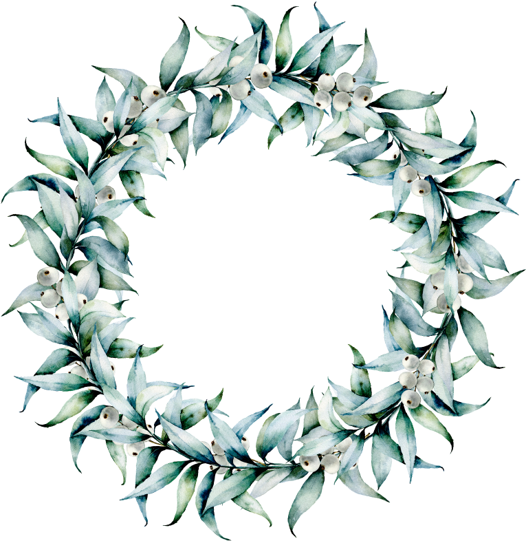 Eucalyptus White Berry Wreath 800×800 - Eucalyptus Gum Wreath Watercolour Clipart (800x800), Png Download