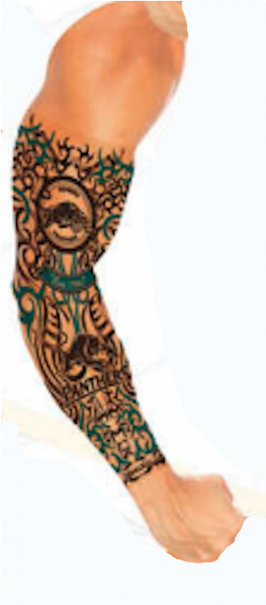 Penrith Panthers Nrl Youth Tattoo Sleeve - Temporary Tattoo Clipart (800x860), Png Download