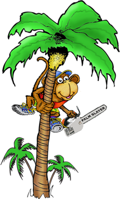 Cartoon Palm Tree Png Clipart (606x784), Png Download