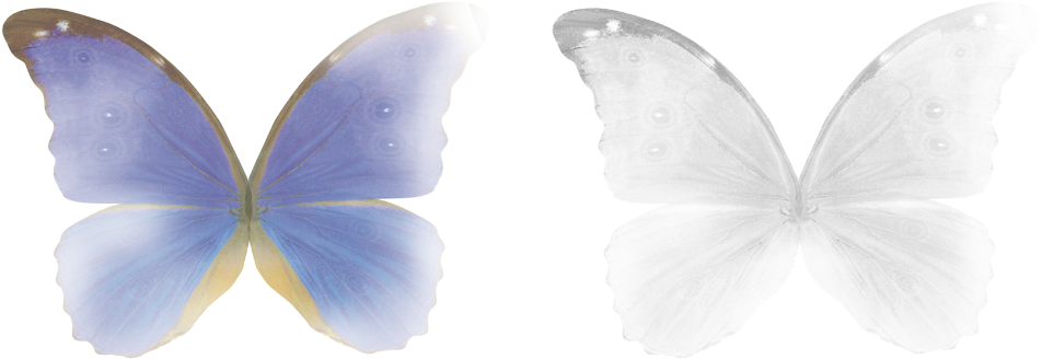 #fairy #butterfly #wings #magic #stickers #transparent - Butterfly Wings Overlays Png Clipart (1024x724), Png Download