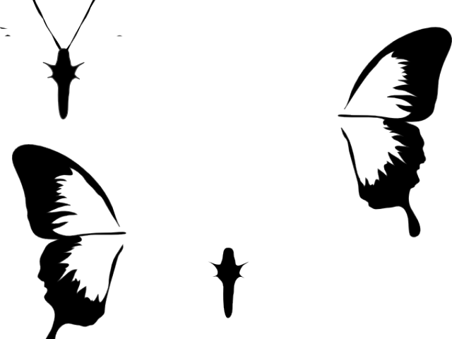Butterfly Silhouette Clipart (640x480), Png Download
