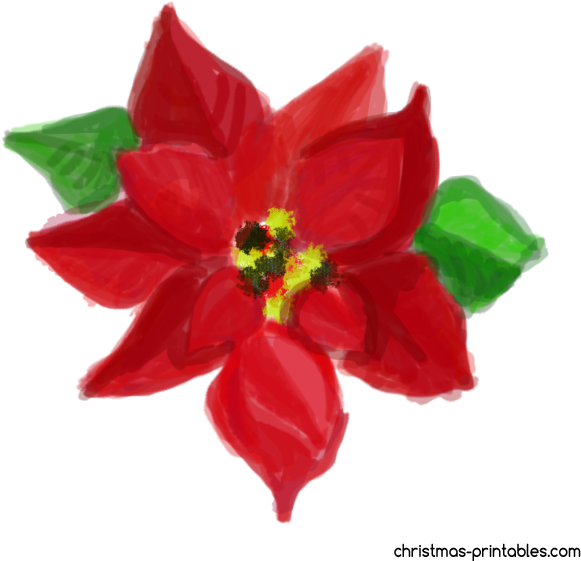 Free Watercolor Christmas Flower Clipart - Poinsettia - Png Download (620x572), Png Download