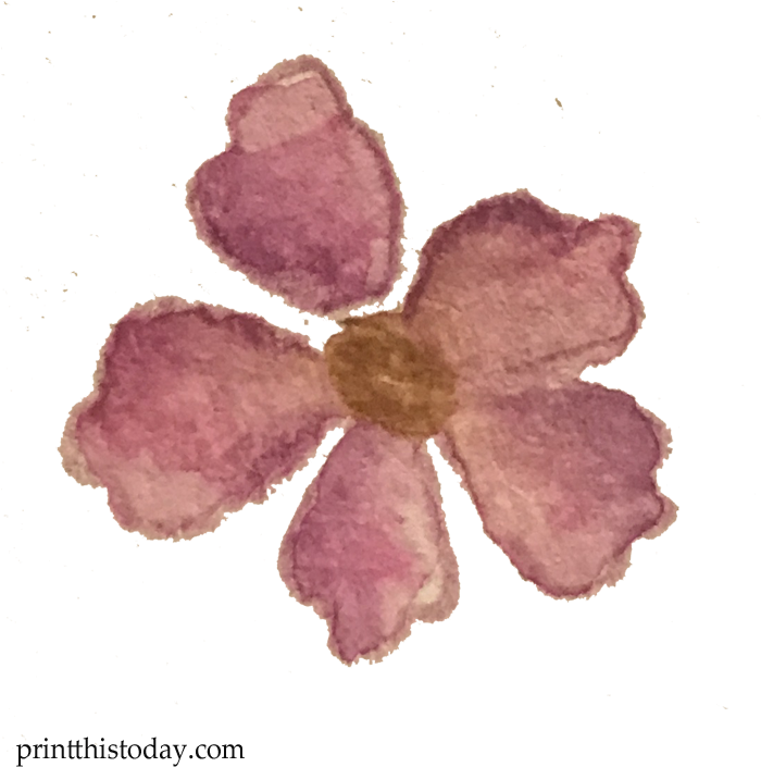 Watercolor Flower - Mayflower Clipart (720x720), Png Download