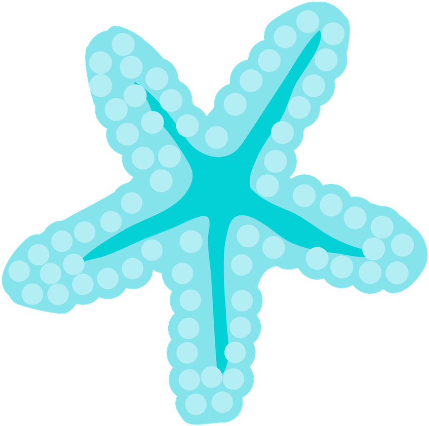 Seashell Clipart Turquoise - Starfish Little Mermaid Png Transparent Png (900x900), Png Download