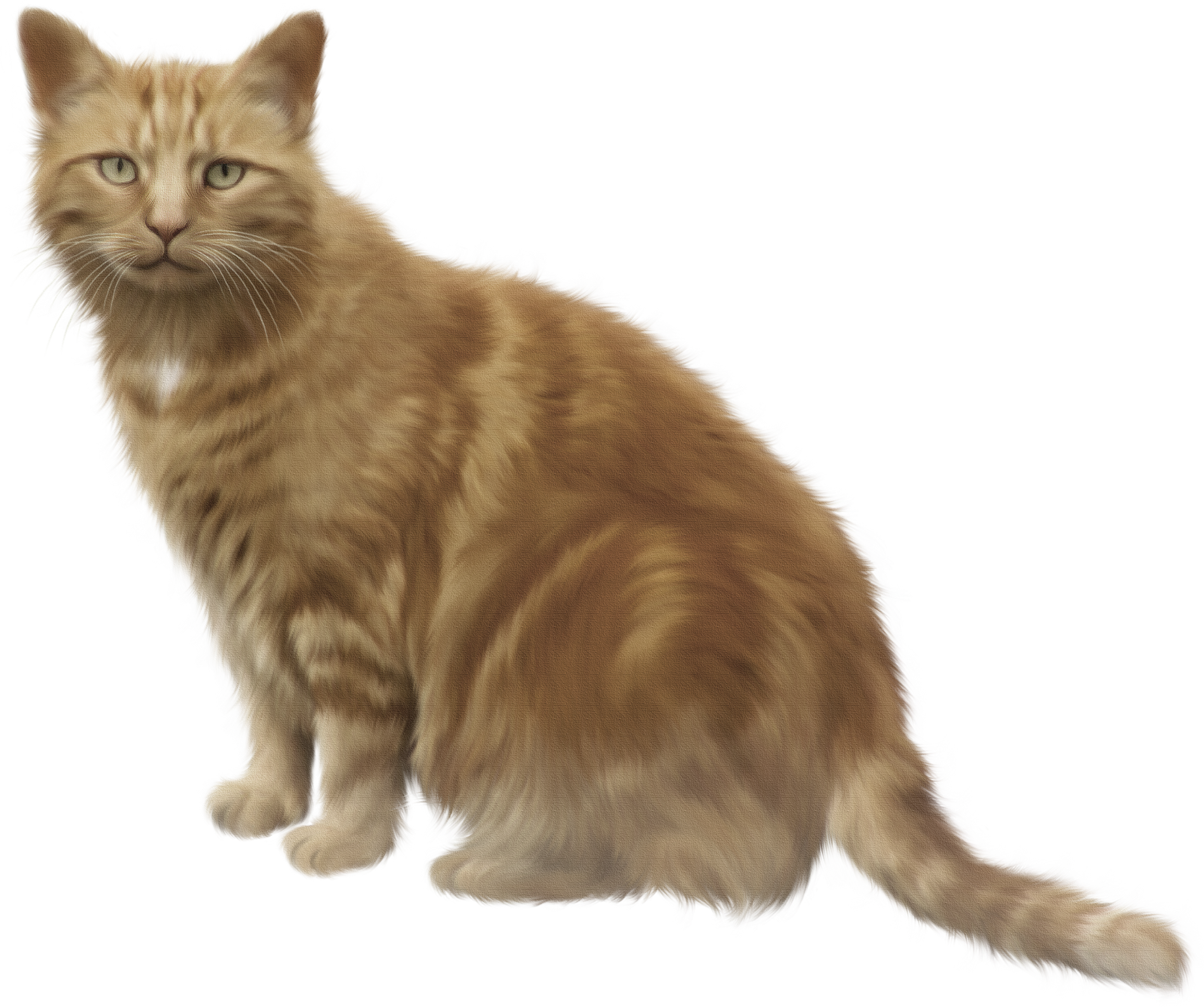 Black Cat Clipart Decoration - You Know What This House Is Missing - Png Download (3103x2598), Png Download