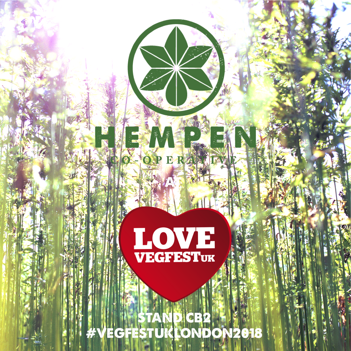 15% Off Our Organic Cbd Coconut Oil - Floral Design Clipart (1136x1136), Png Download