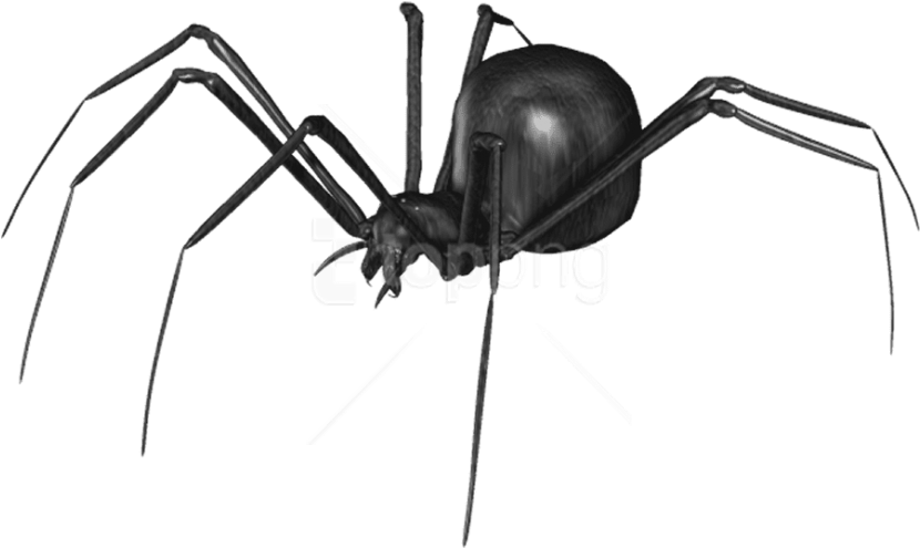 Free Png Download Spider Clipart Png Photo Png Images - Transparent Widow Spider Png (850x506), Png Download