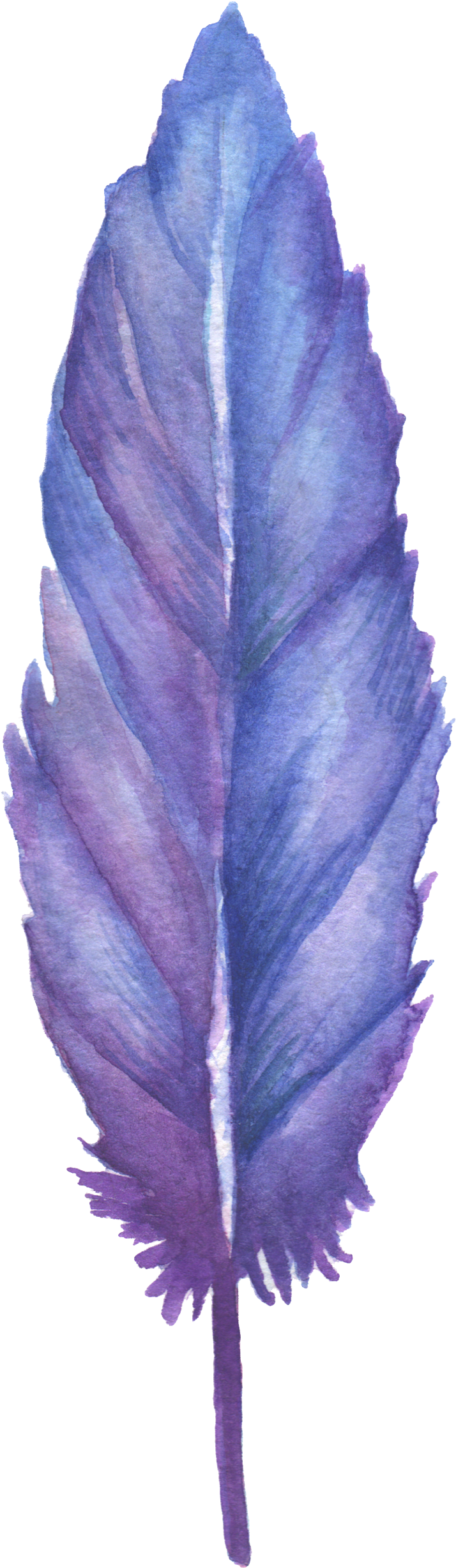 1024 X 2736 5 - Blue And Purple Feather Clipart (1024x2736), Png Download