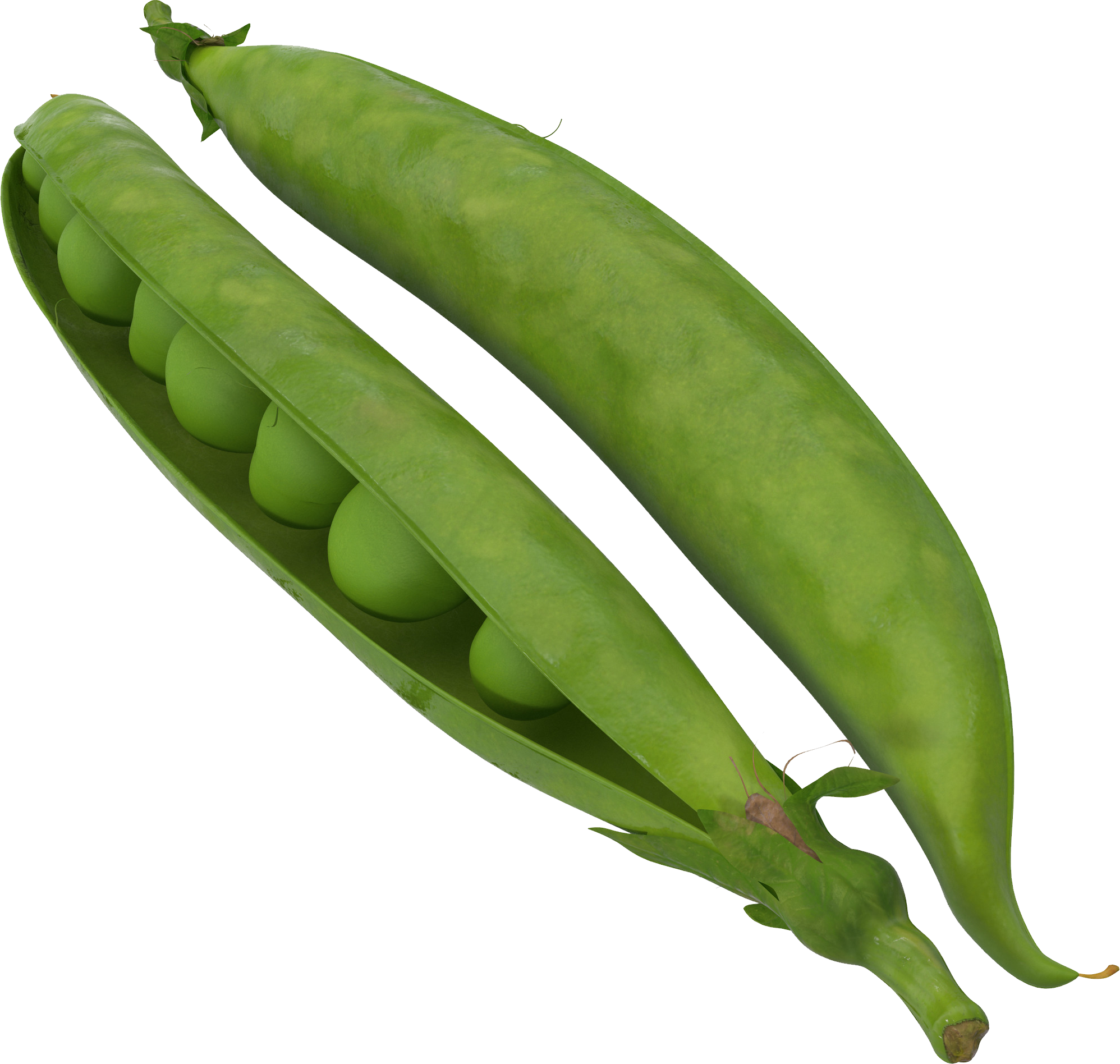 Green Beans Png Clipart (1996x1896), Png Download