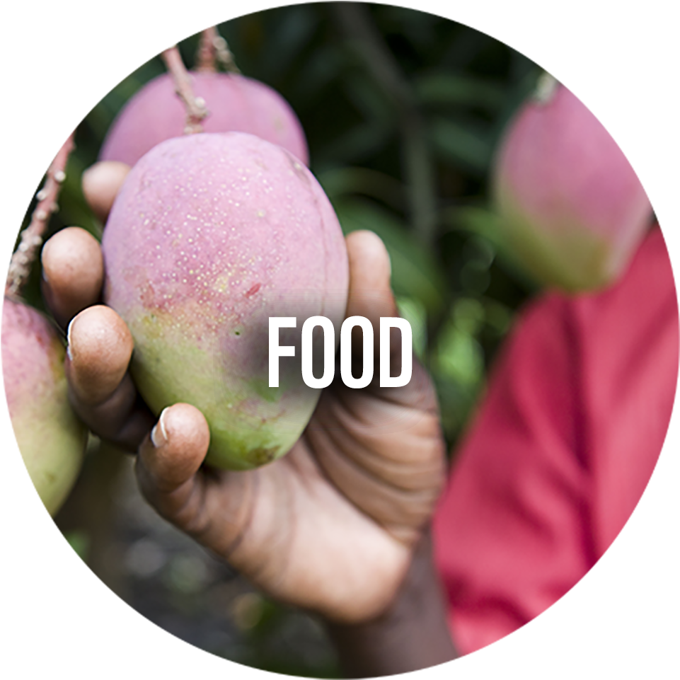 Wwf News - Wwf Six Areas Clipart (1000x992), Png Download