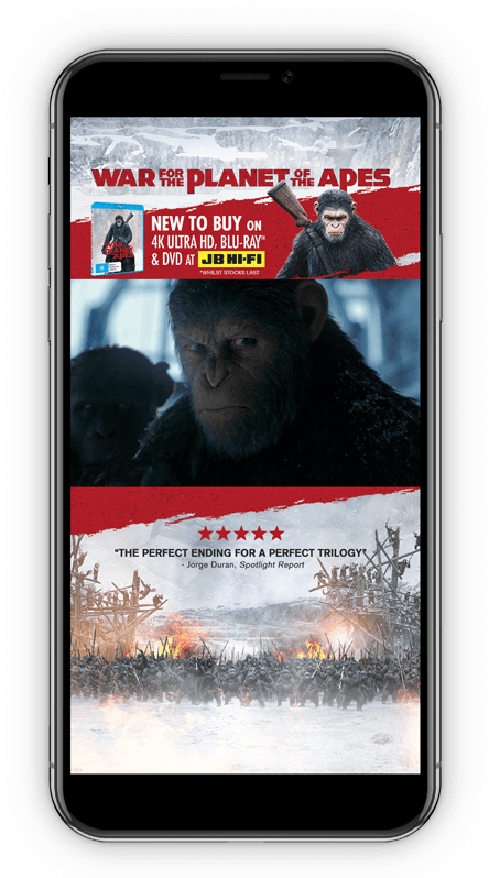 3dux - Mountain Gorilla Clipart (800x800), Png Download