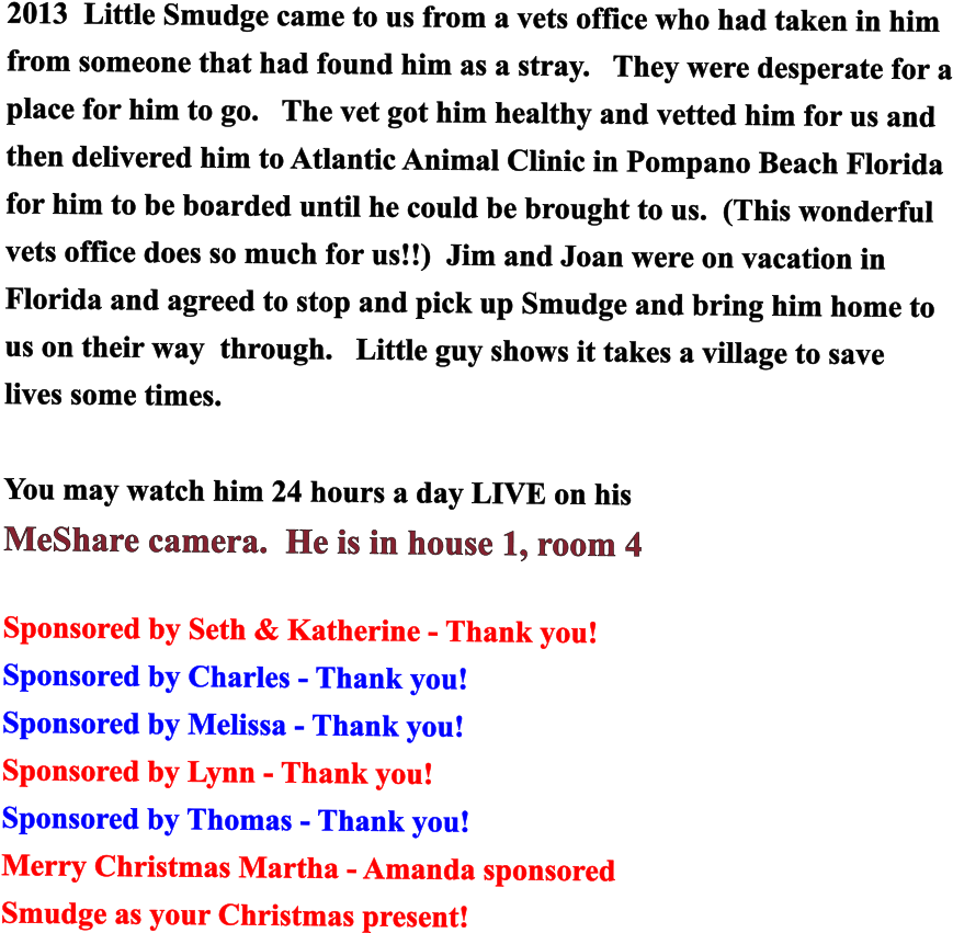 2013 Little Smudge Came To Us From A Vets Office Who - Circle Clipart (869x851), Png Download