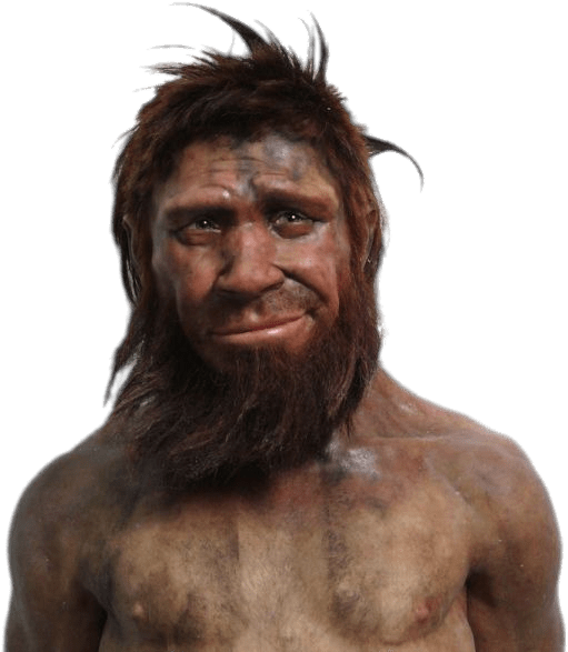 People - Did Cavemen Look Like Clipart (600x597), Png Download