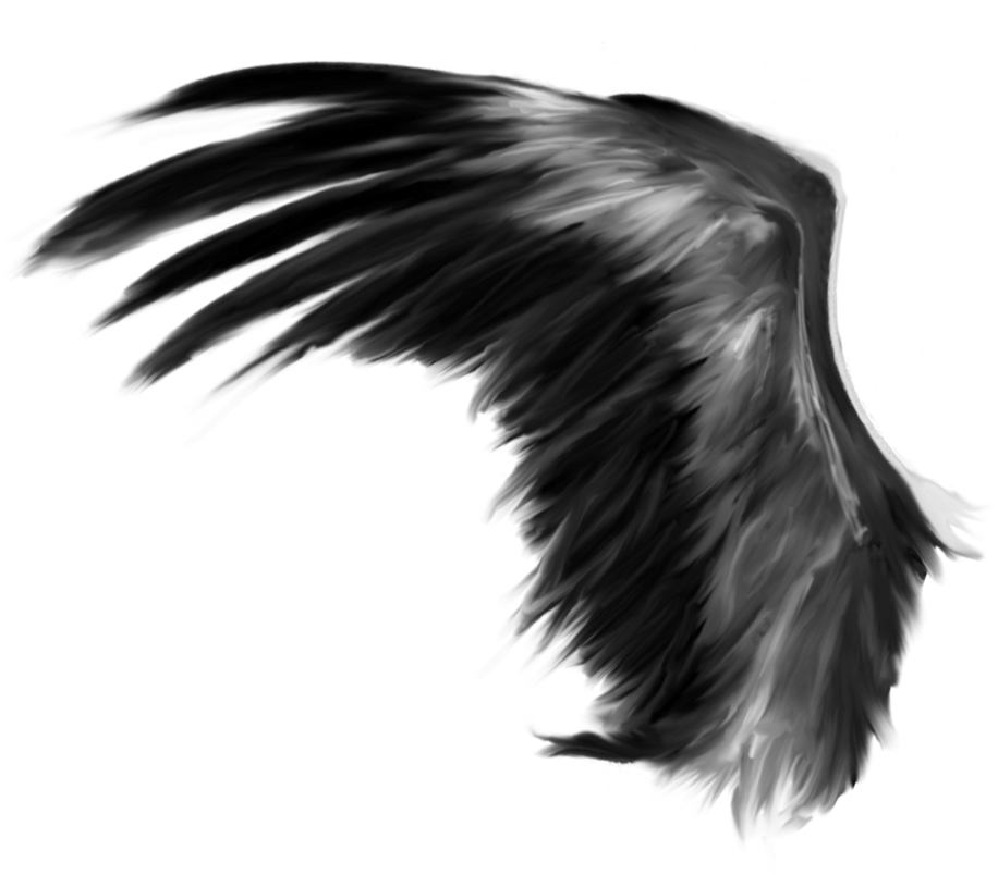 #wings #feathers #black #angel #bird #wing #freetoedit - Wings Png Clipart (1024x1024), Png Download