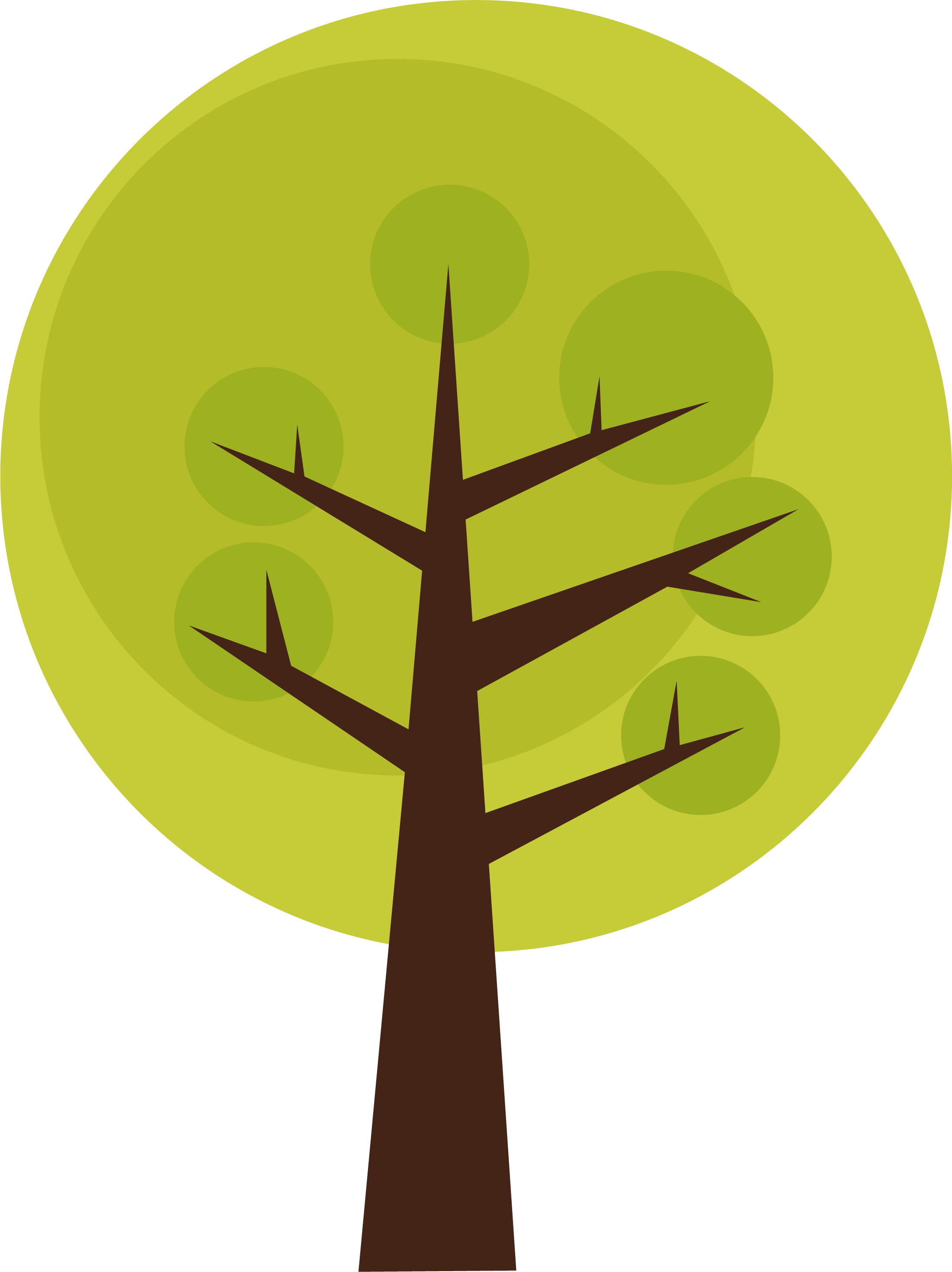 Tree Png Images Quality Transparent Pictures - Tree Clipart In Png (2199x2937), Png Download