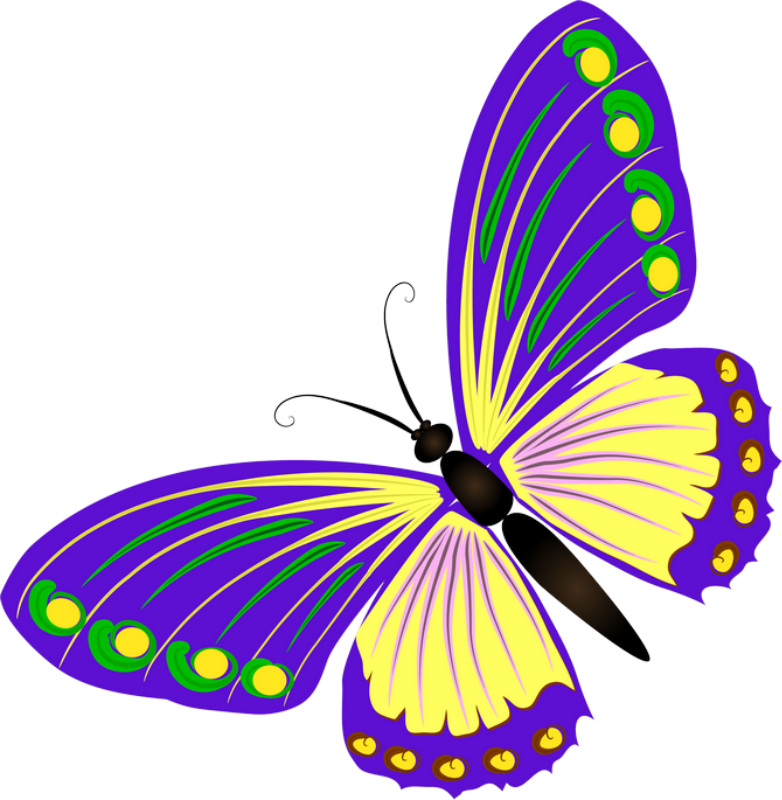 ‿✿⁀butterflies‿✿⁀ - Mariposas Color Coral Clipart (782x800), Png Download