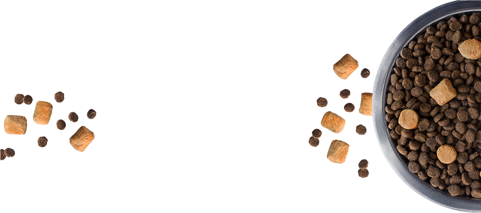 Dog Food Bowl Png - Cat Treats Transparent Background Clipart (1601x709), Png Download