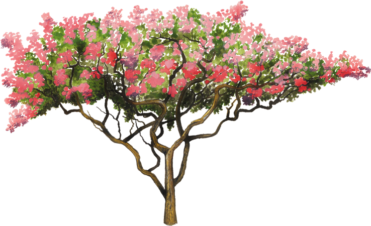 750 X 502 9 - Arbol De Flores Png Clipart (750x502), Png Download