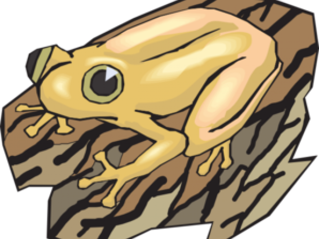 Frog Clipart (640x480), Png Download