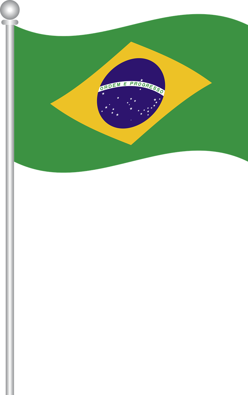 Brazil Flag Clipart Png - Bandeira Do Brasil Em Vetor Transparent Png (804x1280), Png Download