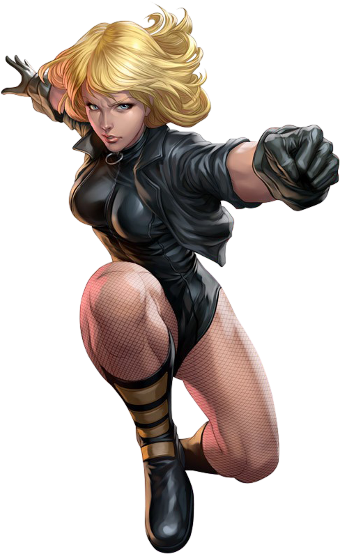 Black Canary - Pl - Black Canary Comics Png Clipart (762x834), Png Download