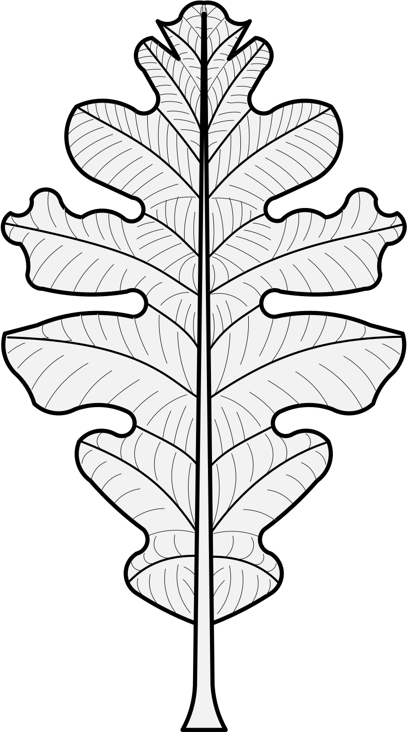 Details, Png - Oak Leaf Heraldry Clipart (827x1471), Png Download