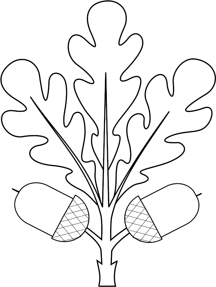 Heraldry Oak Leaf Fructed - Oak Leafs Svg Clipart (809x1024), Png Download