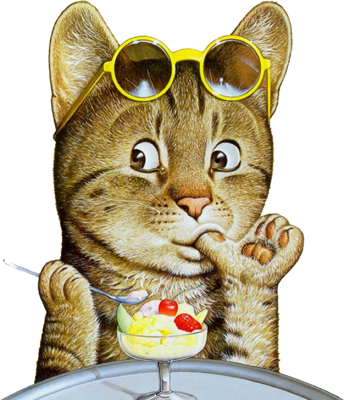 Cat,emoji,real,db 图层16 - Добрым Утром Желанный Друг Clipart (689x800), Png Download