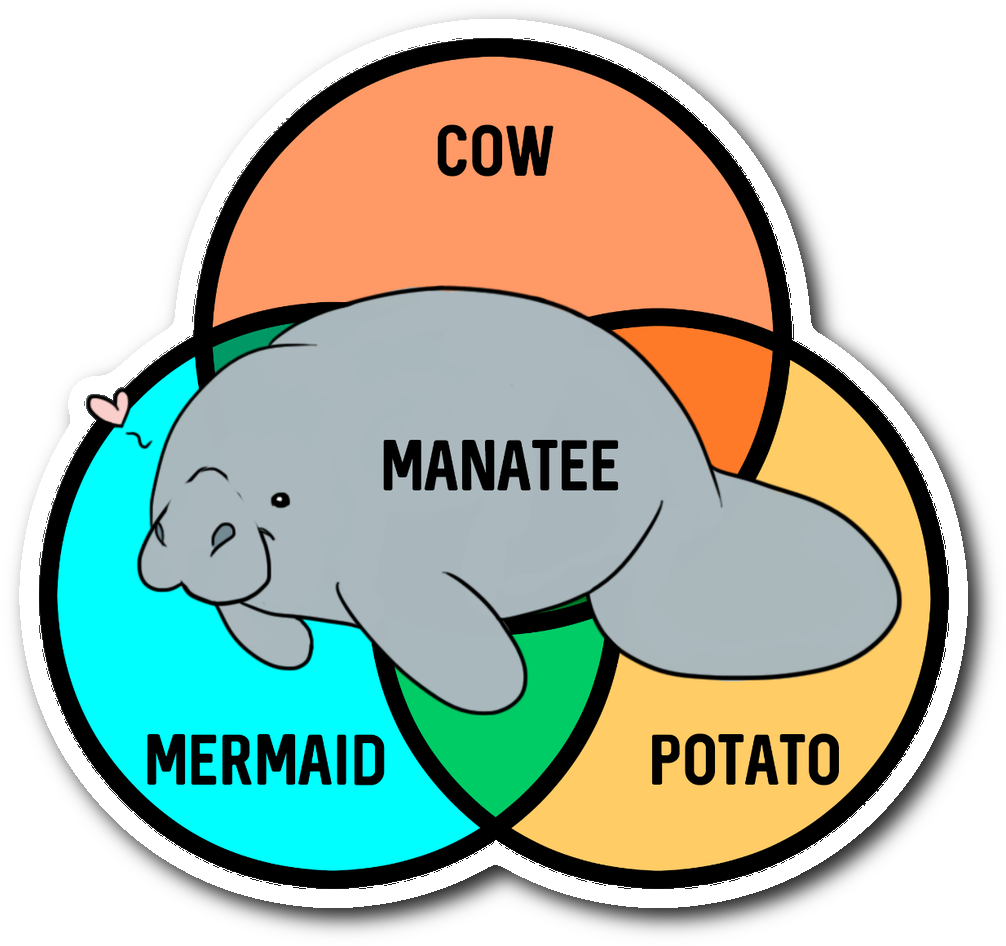 What Even Are Manatees Sticker Clipart (1064x1064), Png Download