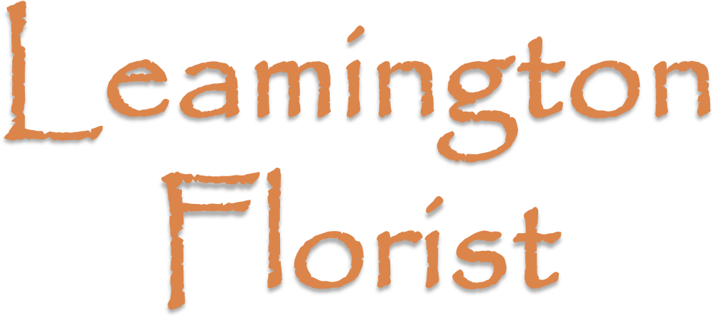 Birthday Bash Png Clipart (1276x681), Png Download