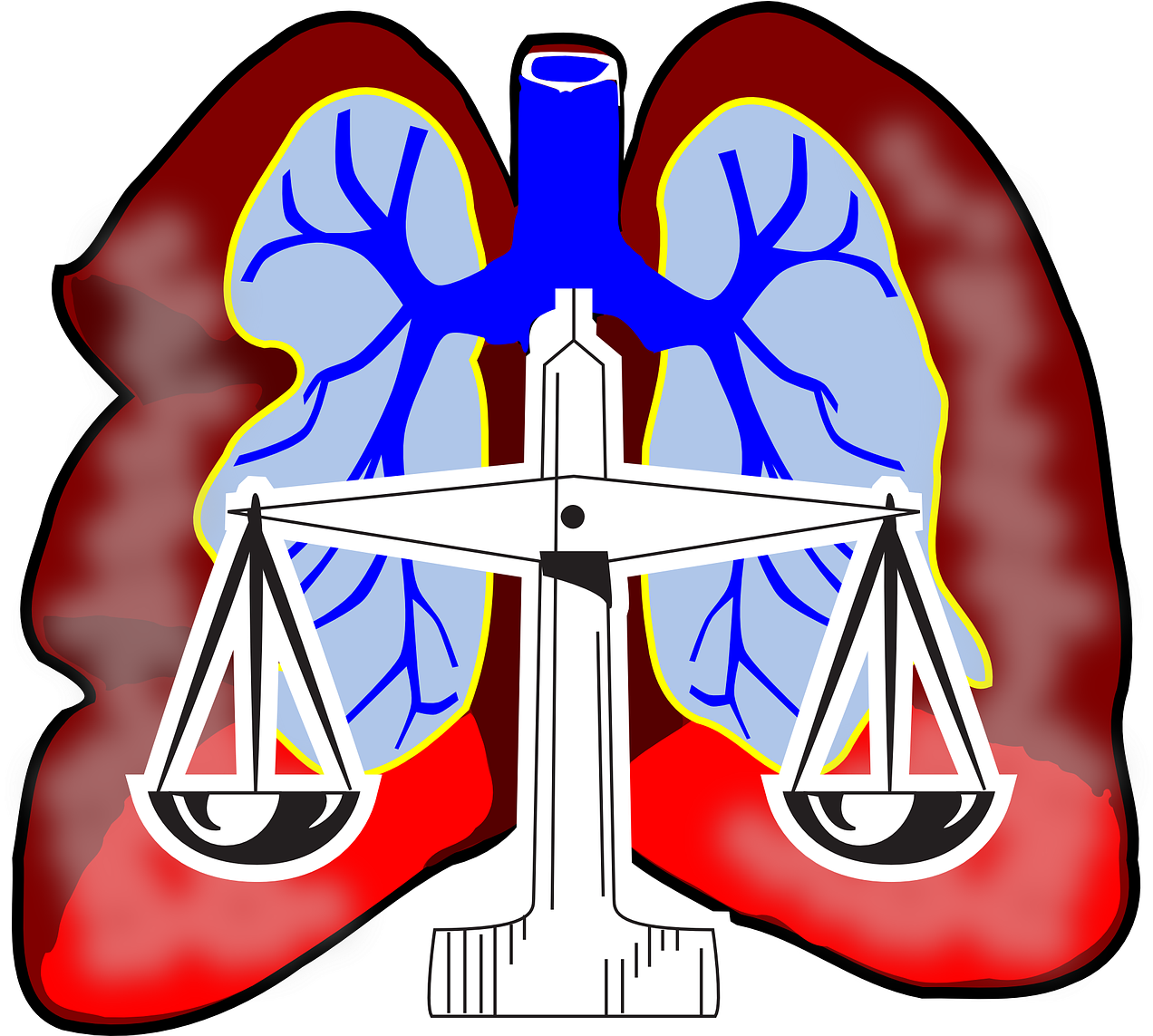 Lungs Clip Art - Lungs Clipart - Png Download (1272x1143), Png Download