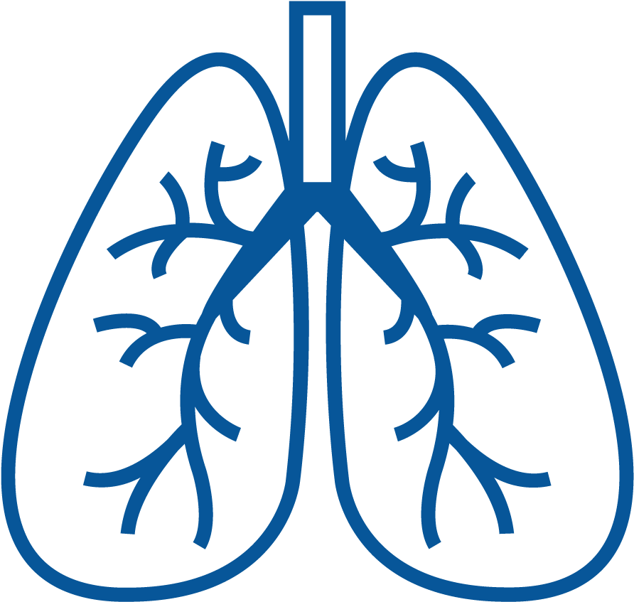 An Under-diagnosed And Expensive Condition - Respiratory System Icon Png Clipart (900x900), Png Download