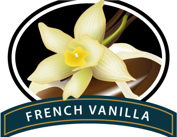 Coffee Beans Clipart Vanilla Bean - French Vanilla Coffee Logo - Png Download (640x480), Png Download