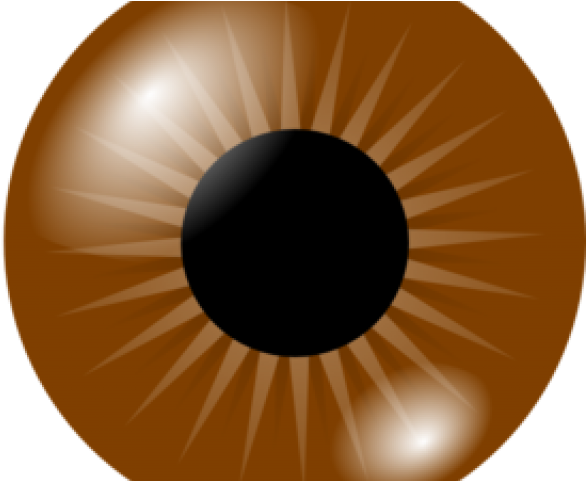 Iris Clipart - Brown Eye Vector - Png Download (640x480), Png Download