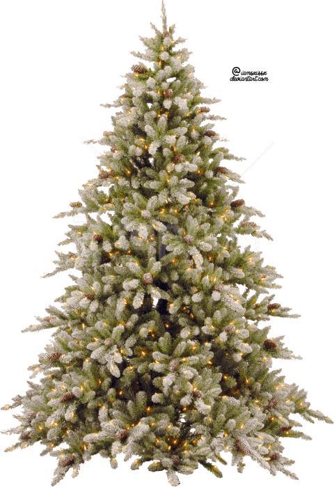 Free Png Download Fir-tree Png Pic Png Images Background - Christmas Tree Transparent Hd Clipart (480x699), Png Download