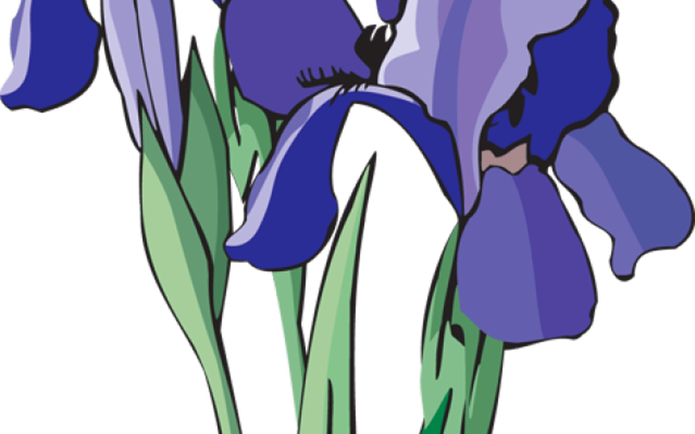 Iris Clipart Transparent - Iris Clipart - Png Download (1368x855), Png Download