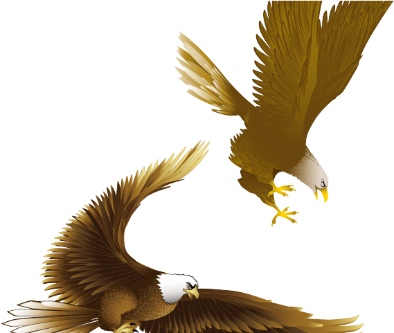 Drawn Bald Eagle Vector - Burung Elang Png Clipart (640x480), Png Download