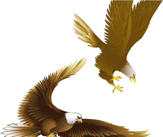 Drawn Bald Eagle Vector Burung Elang Png Clipart Large Size Png