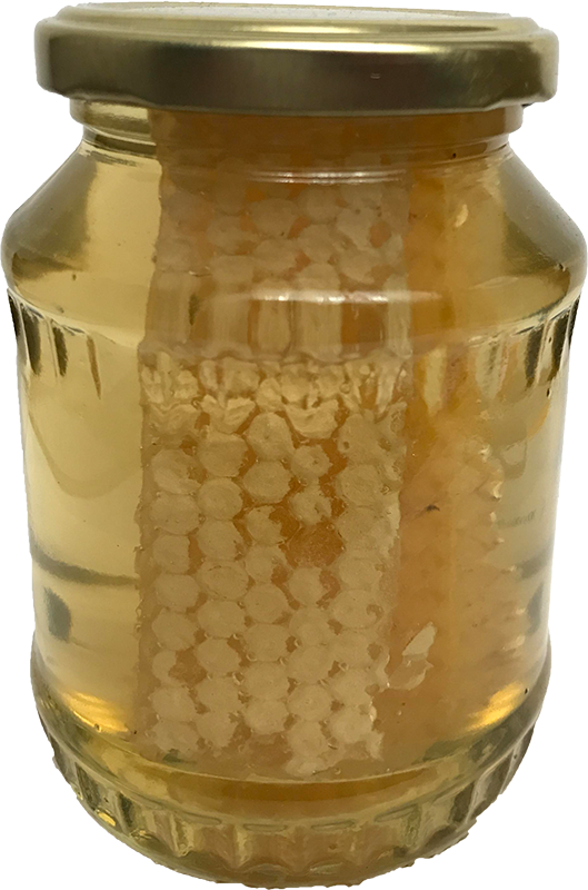 Acacia Honey - Honeycomb In Bottle Clipart (529x800), Png Download