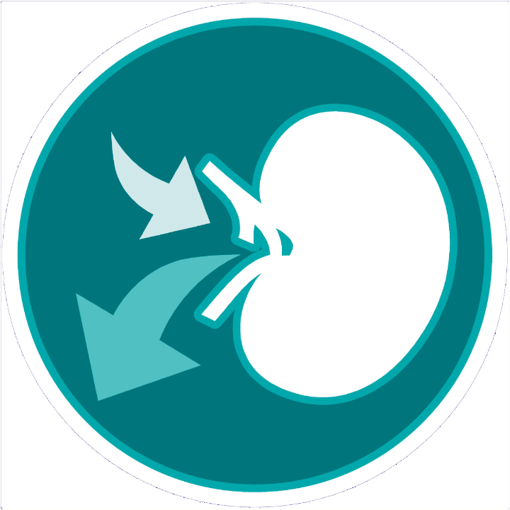 F 04 One Cat Chicken Whole Grains 800g Ensvfinoda Clipart (720x720), Png Download