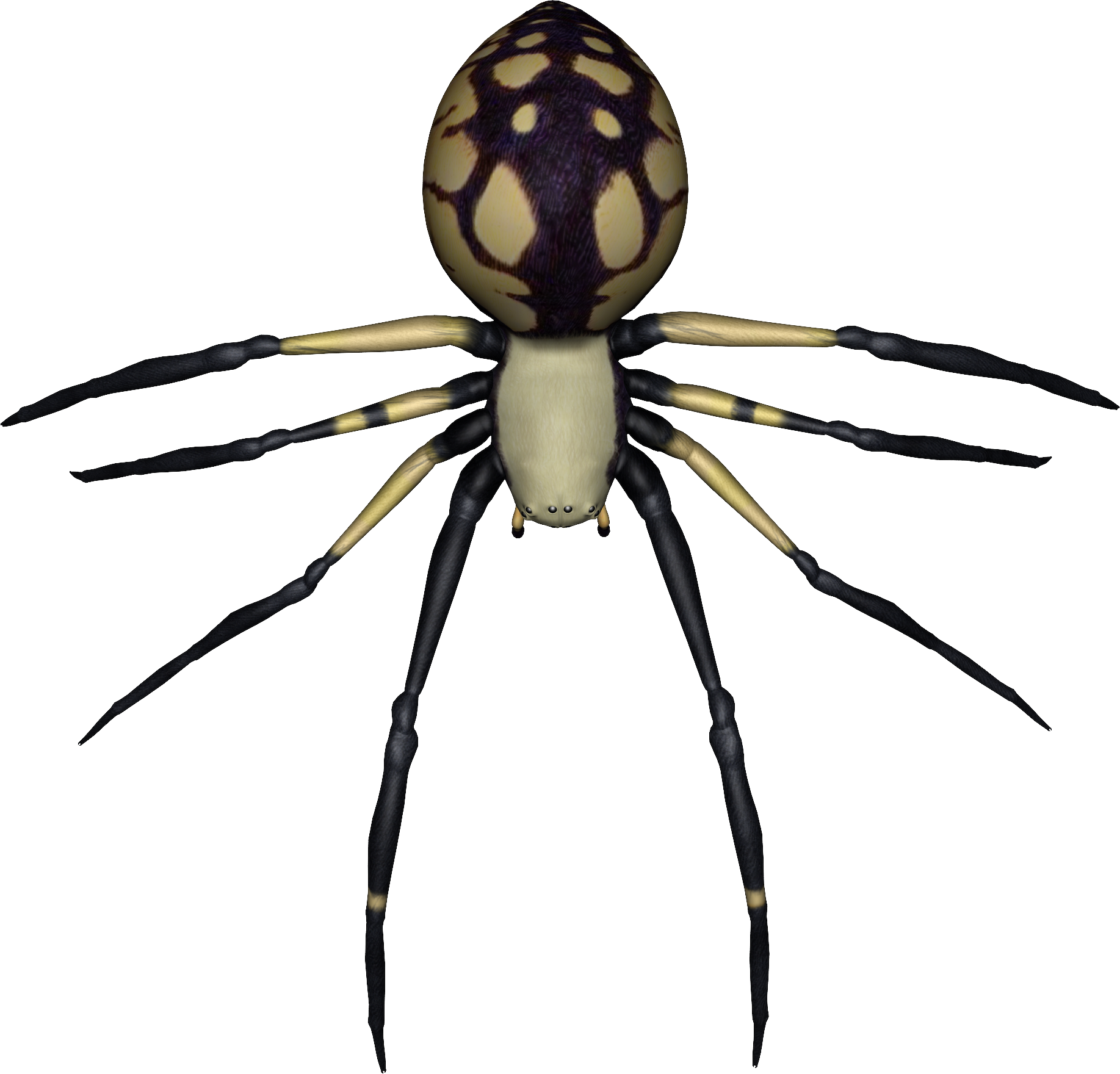 Spider Drawing No Background Clipart (1835x1760), Png Download