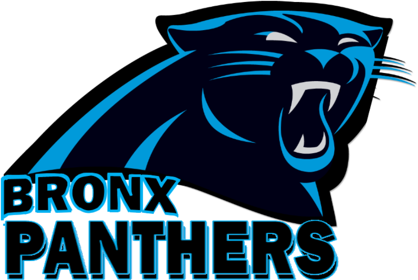 Carolina Panthers Address Logo , Png Download - Carolina Panthers New Clipart (858x576), Png Download