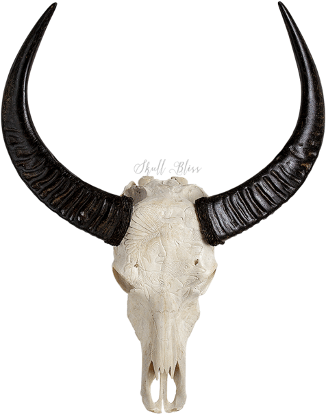 Animal Skull Png - Skull Animals Clipart (645x645), Png Download